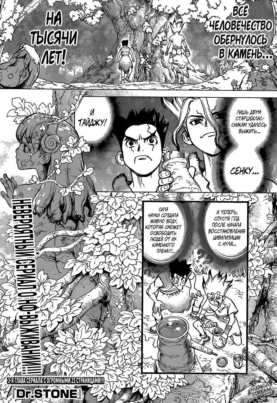 Манга Доктор Стоун глава 3 - Manga Dr. Stone 3 Big-Anime.Ru