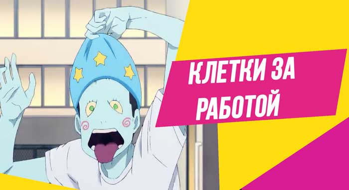 Новый эпизод «Клетки за работой»