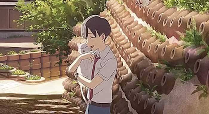 Полнометражное аниме "Сквозь слёзы я притворяюсь кошкой"